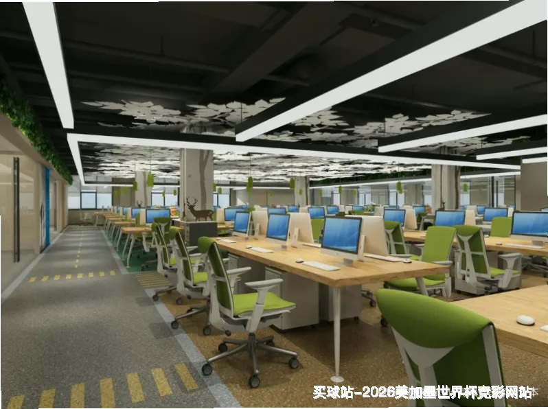 核心团队与专业资质